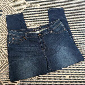 American Rag Plus Size 20W Dark Wash Skinny Denim Jeans